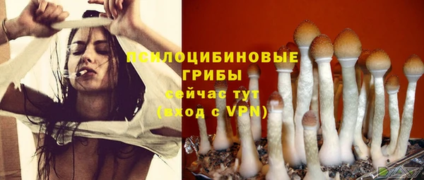 трава Белоозёрский