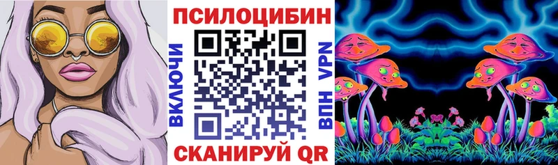 Псилоцибиновые грибы Cubensis Цимлянск